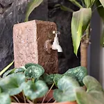 Casa La Rueda With Pool Villa *